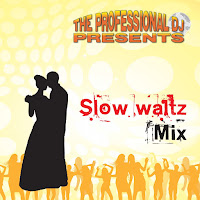 The Professional Dj - Retro Slow Waltz Medley (Vaya Con Dios He'll Have To Go Moonriver) (Feat. Danny Supply) загрузить