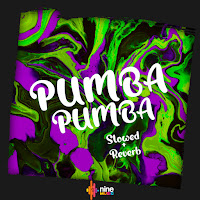 Theuz Zl - Pumba Pumba - Slowed + Reverb Ft Dexhenry & Mc Topre загрузить