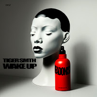 Tiger Smth - Wake Up загрузить