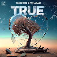 Tim3Bomb - True Ft Pokaraet загрузить