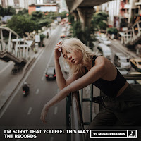 Tnt Records - I`m Sorry That You Feel This Way загрузить