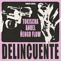 Tokischa - Delincuente Ft Anuel Aa & Ñengo Flow загрузить
