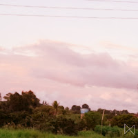 Tollan Kim - Morning Routine загрузить