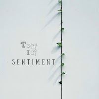 Tony Igy - Sentiment загрузить