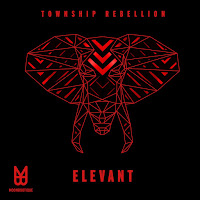 Township Rebellion - Elevant (Bjoern Stoerig Remix) загрузить