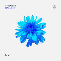 Trilucid - Calling (Extended Mix) загрузить