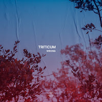 Triticum - Wrong загрузить