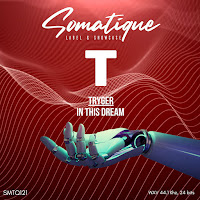 Tryger - In This Dream загрузить