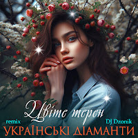 Українські Діаманти - Цвіте Терен (Dj Dzonik Remix) загрузить