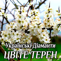 Українські Діаманти - Цвіте Терен загрузить
