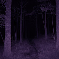 Vandalism - Bleach (Slowed + Reverb) загрузить