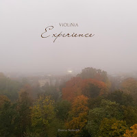 Violinia Zhanna Stelmakh - Experience (Piano & Violin Version) загрузить