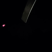 Vnasakar - Y O T загрузить