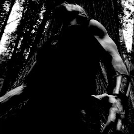 Volfgang Twins - Werwölfe загрузить