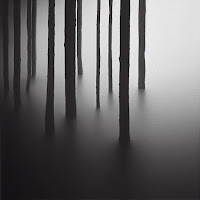 Volzok - Solitude загрузить