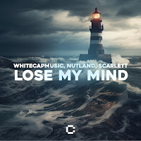Whitecapmusic - Lose My Mind Ft Nutland & Scarlett загрузить