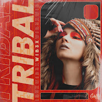 Wib3X - Tribal Ft Ghetto загрузить