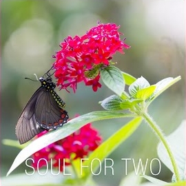 Winstar Records - Soul For Two загрузить