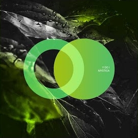 Y Do I - Mystica загрузить