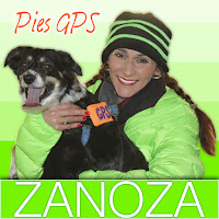 Zanoza - Pies Gps (Extended Remix) загрузить
