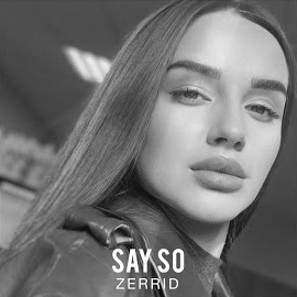 Zerrid - Say So Ft Adik загрузить