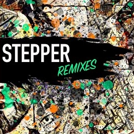 Zigi Sc - Stepper (Ripple Remix) (Feat. Ripple) загрузить