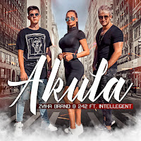 Zvika Brand - Akula (Feat. Intellegent) Ft 242 загрузить